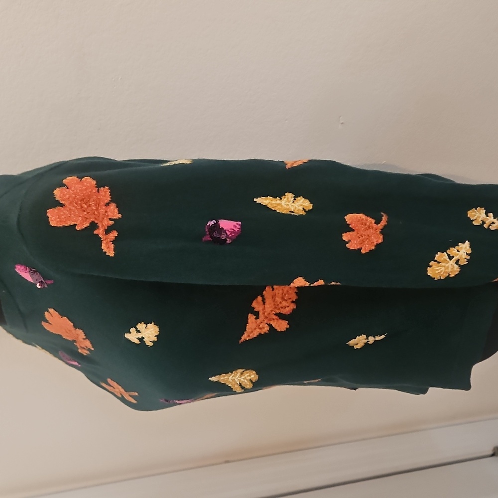 Talbots Fall Sweater - Picture 4 of 10